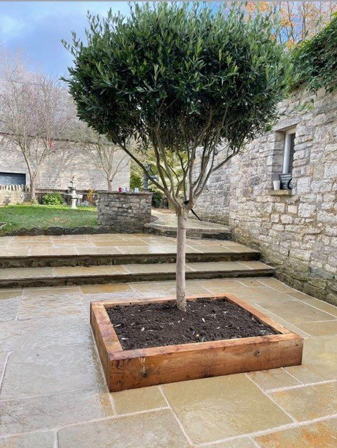 Paving project by P.A. Vine & Son, Yeovil, Somerset